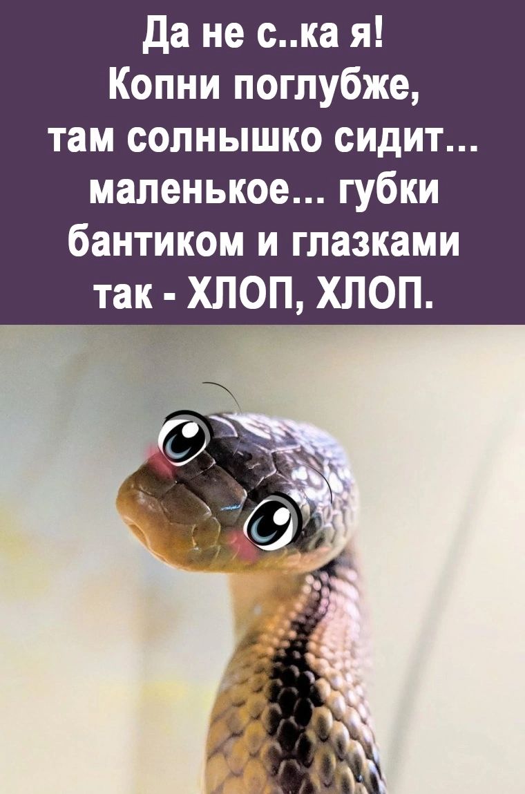 да не ска я Копни поглубже там солнышко сидит маленькое губки бантиком и глазками так ХЛОП хлоп