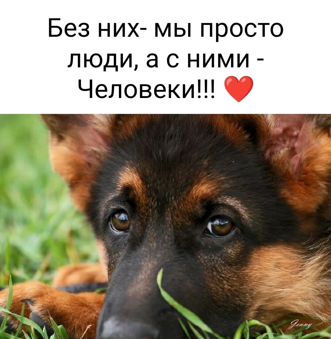 Без НИХ МЫ ПРОСТО люди а с ними Человеки
