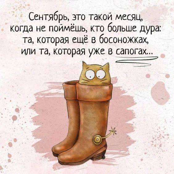 Сентябрь это такой месяц когда не поймёшь юго больше дура та которая ещё в босоножках или та которая уже в сапогах Е