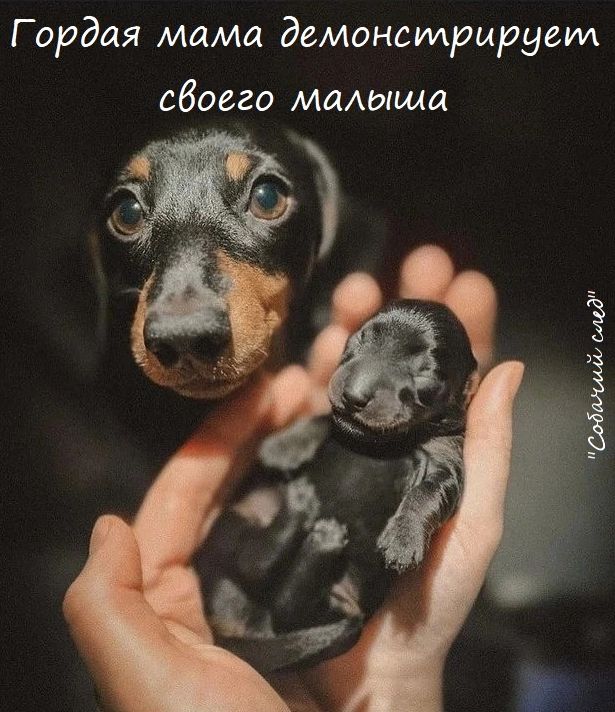 Гордая мама демонсуирцруеид обоего маАыща