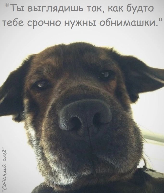 Ты выглядишь так как будто тебе срочно нужны обнимашки