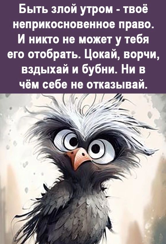 Быть злой утром твоё неприкосновенное право И никто не может у тебя его отобрать Цокай ворчи вздыхай и бубии Ни в чём себе не отказывай
