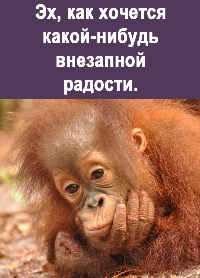 Эх как хочется какой нибудь внезапной радости ЕЁ 1 _ Ё и 5 125