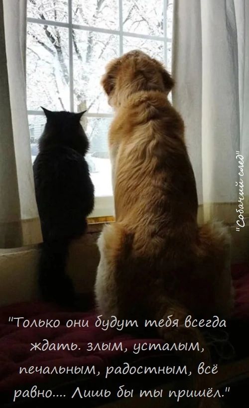 Танако они будут тебя Всегда ждшмь злым усталым иечаАьным радостным бсе равно Аиша бы мы ирмщёА