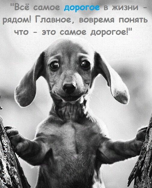 _ _ Всё самое в жизни рядом Главное вовремя понять что это самое дорогое