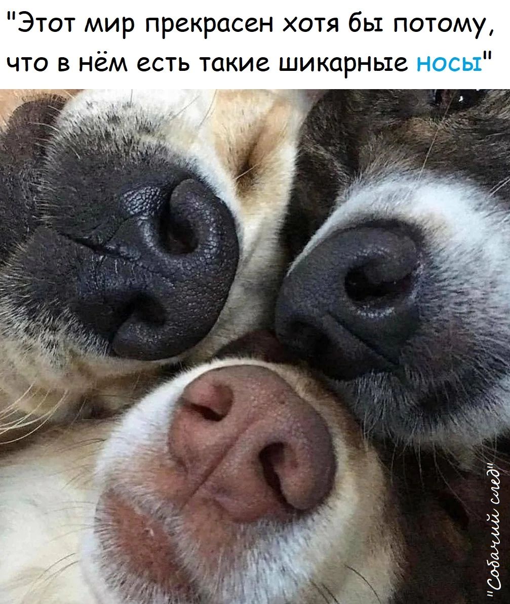 Этот мир прекрасен хотя бы потому что в нём есть такие шикарные