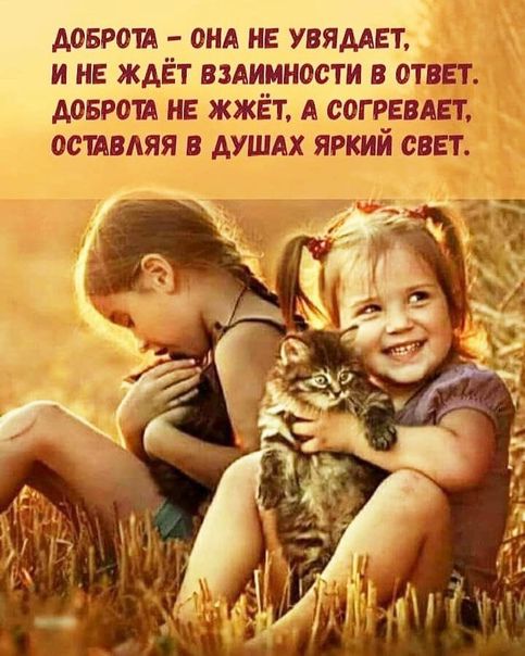 доброта вид не увямЕт и на ждёт вздимиости в ответ доброта нв жжёт А согревдет остдвдяя в душдх яркий свет