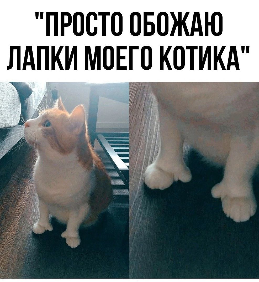 ПРОСТО ОБОЖАЮ ЛАПКИ МОЕГО КПТИКА