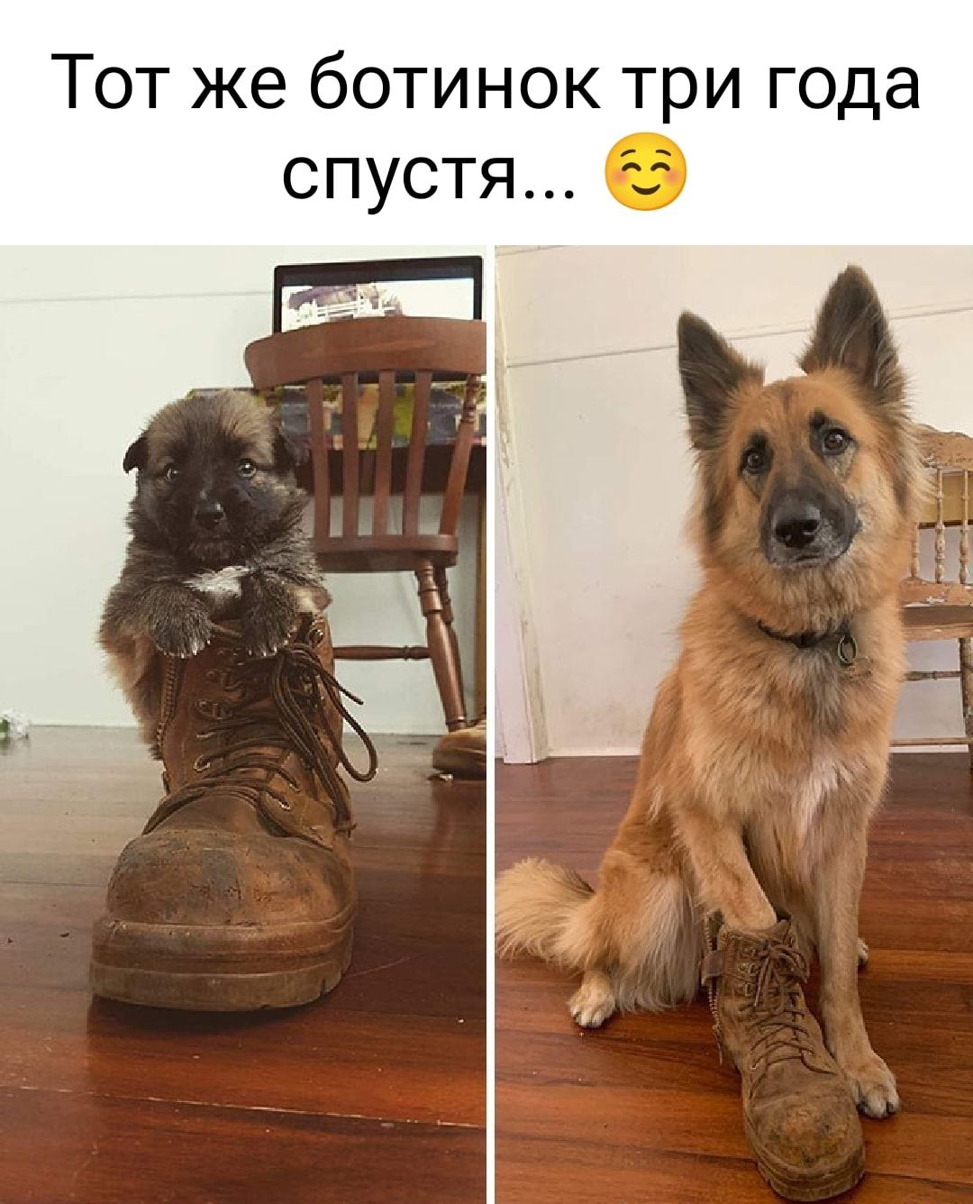 Тот же ботинок три года спустя