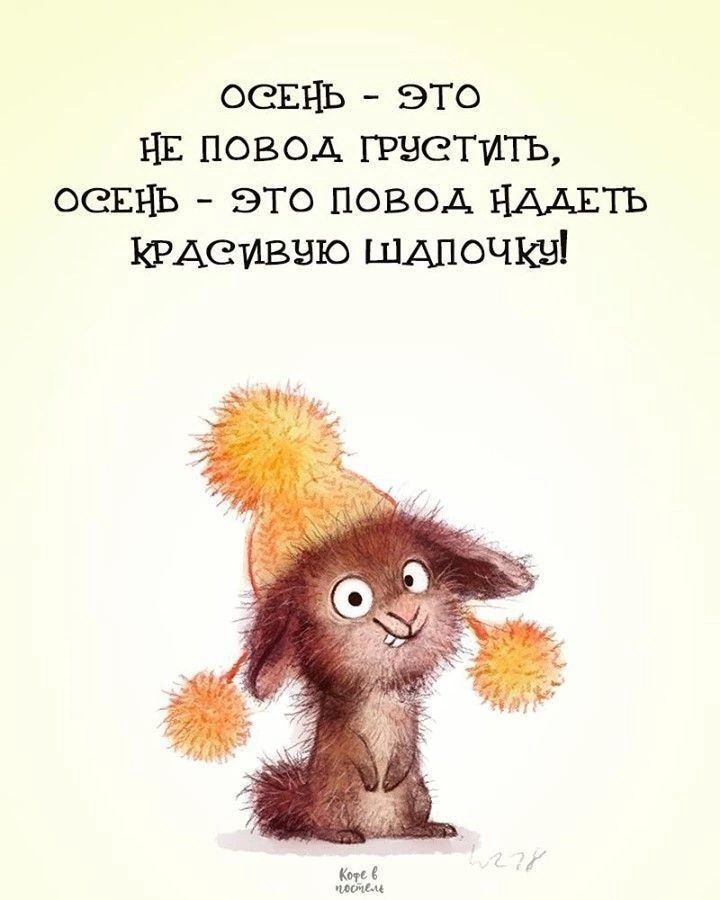 вещь это я повод грветитъ вещь это повод нмть КРАСИВВЮ шАпочкв