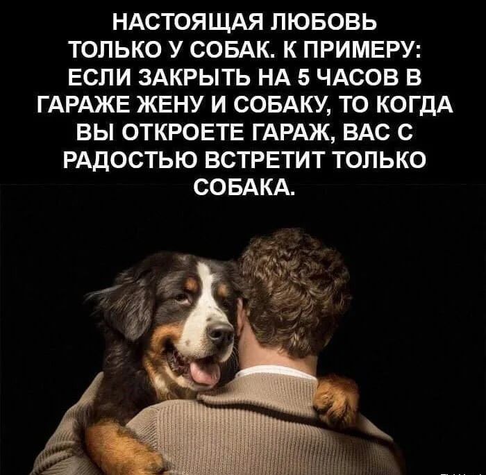 НАСТОЯЦМЯ ЛЮБОВЬ ТОПЬКО У СОБАК К ПРИМЕРУ ЕСЛИ ЗАКРЫТЬ НА 5 ЧАСОВ В ГАРАЖЕ ЖЕНУ И СОБАКУ ТО КОГДА ВЫ ОТКРОЕТЕ ГАРАЖ ВАС С РАДОСТЬЮ ВСТРЕТИТ ТОЛЬКО СОБАКА