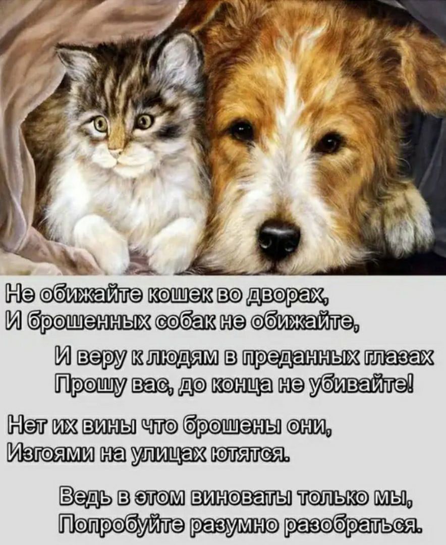 _ а итпп И1 щыю ши М этам винаваты тэпька Щ Пепрэбуйте