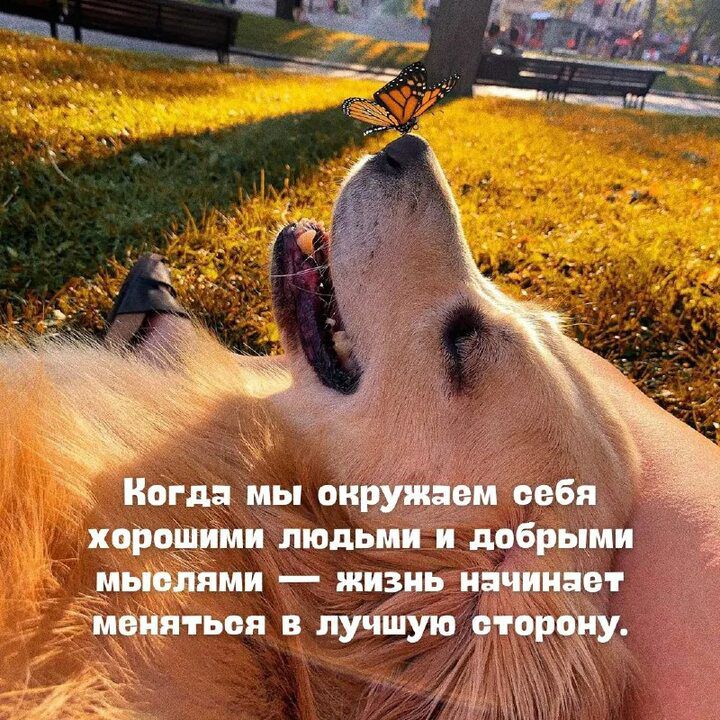 Когда мы овбя хцрпщими людьми и добрыми пми жизнь начинает под в лучшую