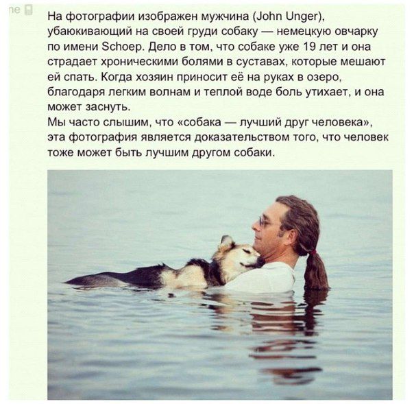 на фоттаФии изображен мужчин ног Пичет убаюкивзтщии на своей руди собаку _ иьмцкую овчарку по имени заново п по в ши чю шбікв уже 19 нет и она Станет хроническими болями в этава хитрые мешают еи спать Когда хо прииссиг ее а рука в шеви благодаря легким випиам и твпппи виде вонь УТихант и она ми ши Мы часто слышим чт шви лучший друг чипопиаж эта ФэшгріФии явпяпся шит шам ют что чат ви то до а лучши