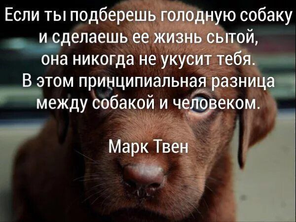 Если ты подберешк делаешь её ж