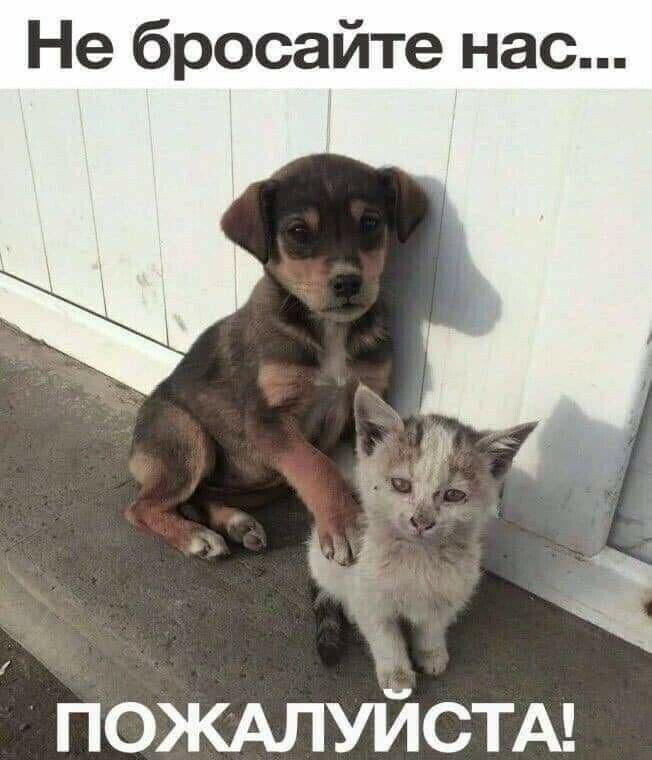 Не бросайте нас 3 пождлуйстм