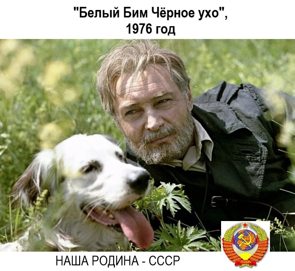 Белый Бим Чёрное ухо НАША РОДИНА ссср
