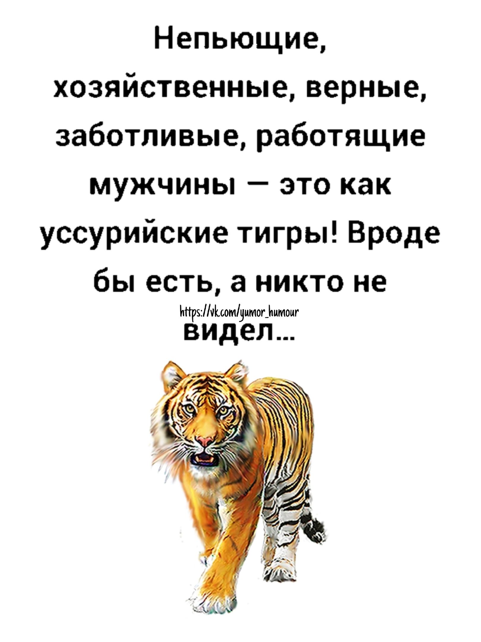 Непьющие хозяйственные верные заботливые работящие мужчины это как уссурийские тигры Вроде бы есть а никто не минными видел