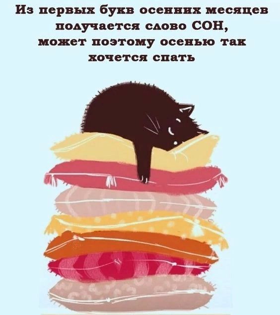 Из первых Бука осенних певице поьучдется сдано СОН покет ПОЗГО У ОСЕНЬЮ тц МЧВТСЯ спи п