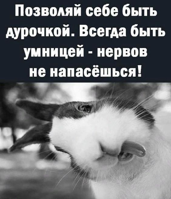Позводяй себе быть дурочкой Всегда быть уиницей нервов не напасёшься _