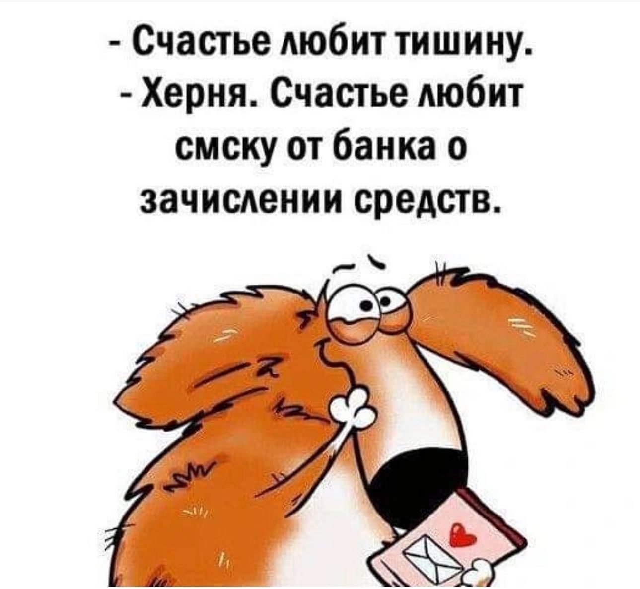 Счастье Аюбит тишину Херня Счастье любит смску от банка о зачислении средств