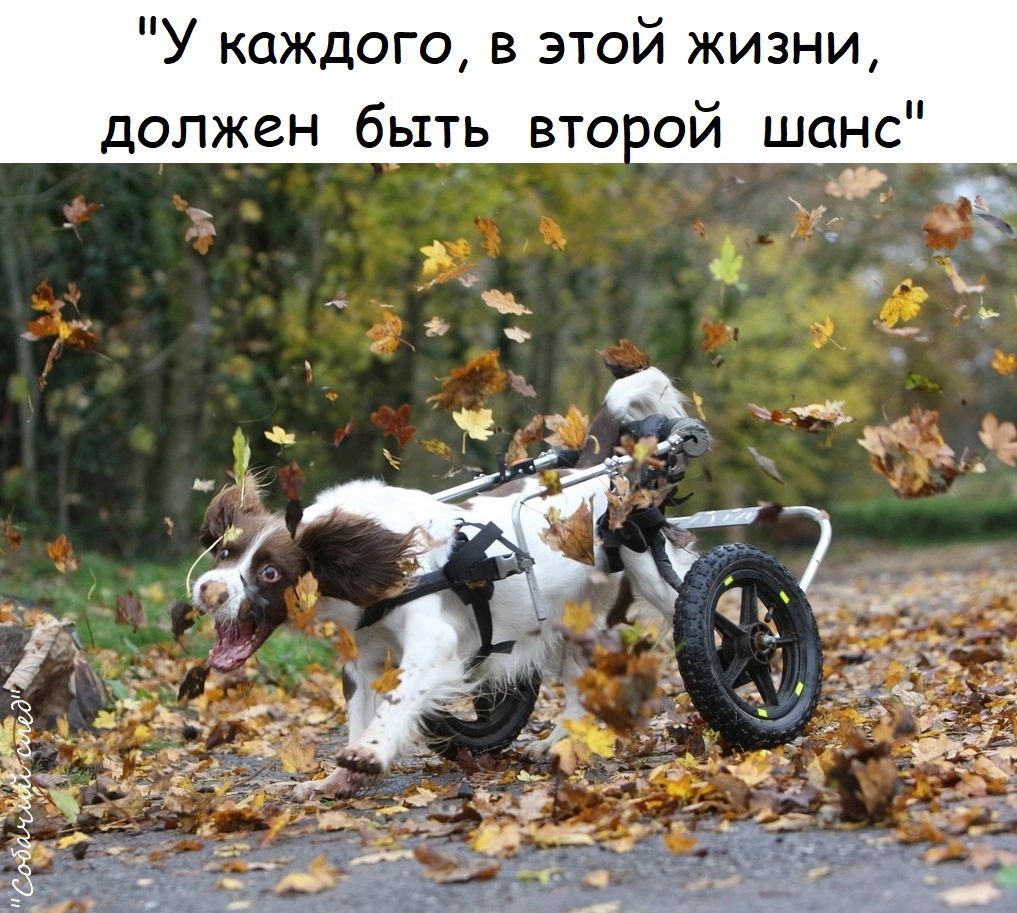 У каждого в этой жизни должен быть вто ой шанс ав