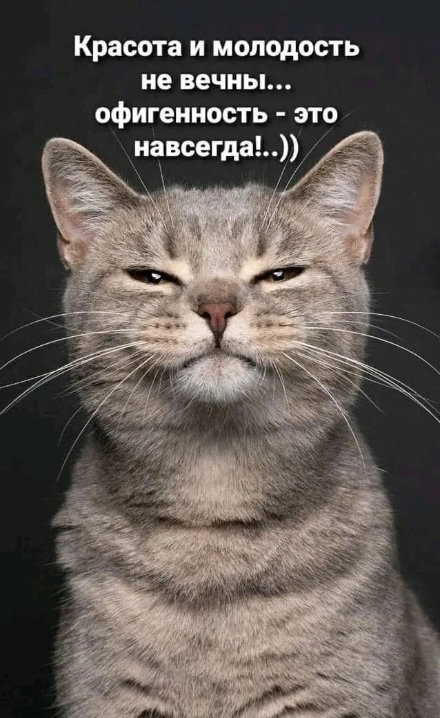 Красота и молодость не вечны офигенность это