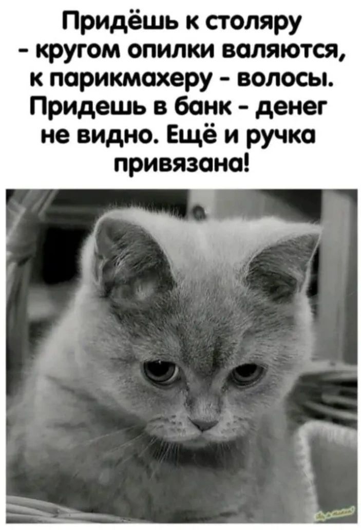 Придёшь к столяру кругом опилки валяются к порикмахеру волосы Придешь в банк денег не видно Ещё и ручка привязана