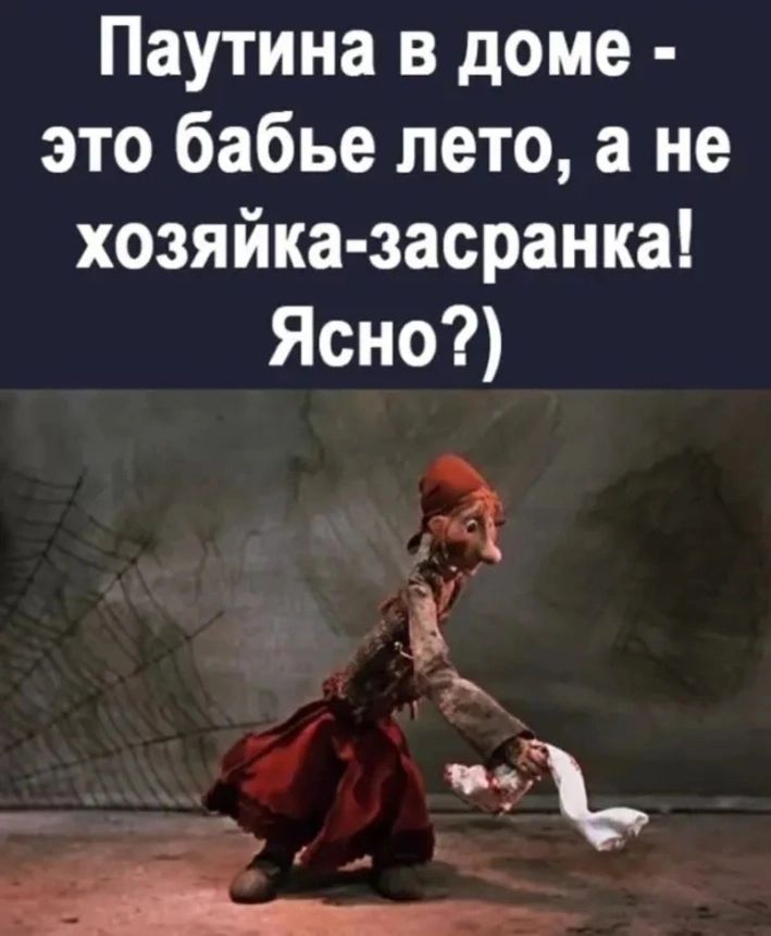 Паутина в доме это бабье лето а не хозяйка засранка Ясно 31 в А у 7