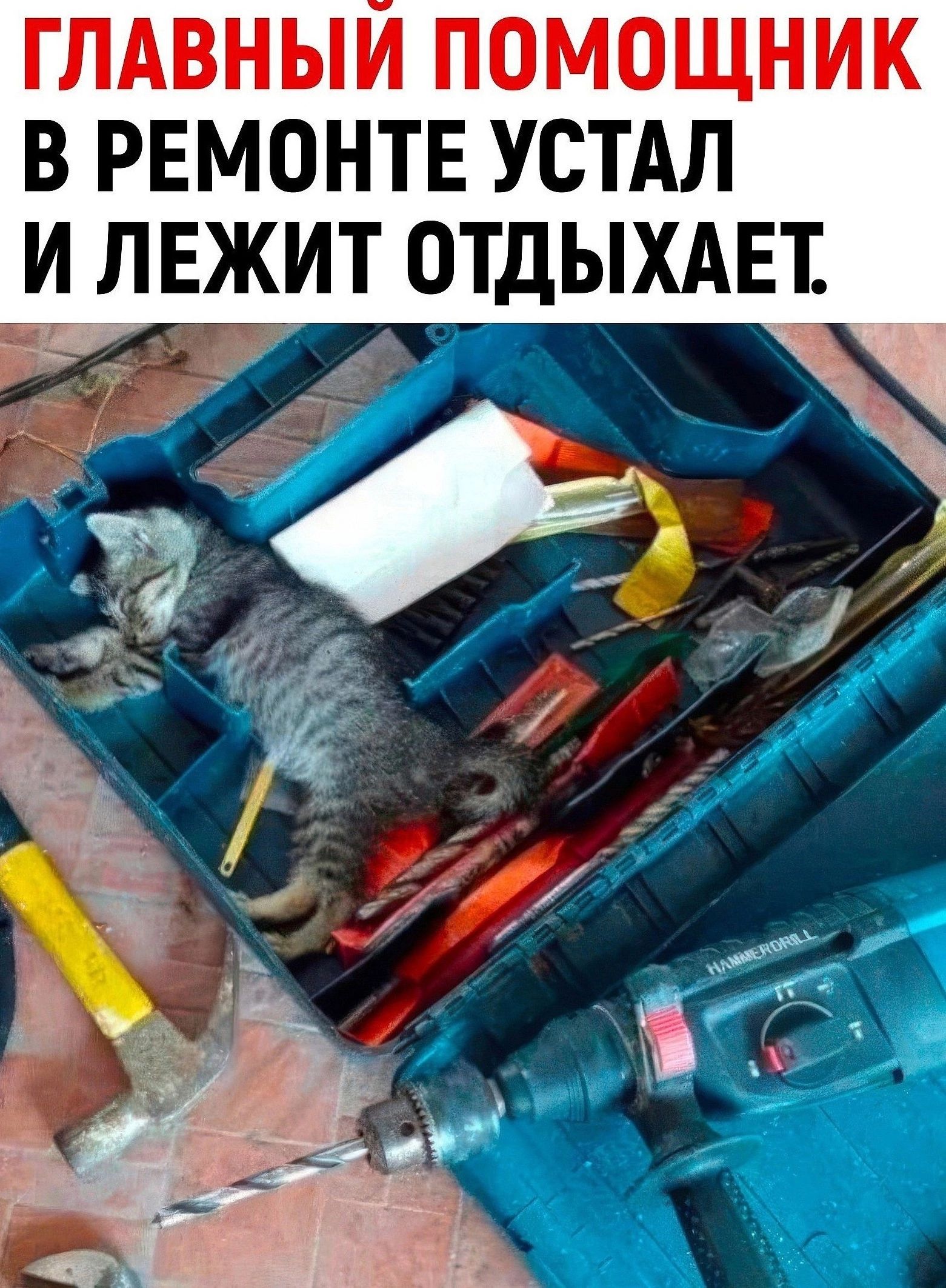ГЛАВНЫИ ПОМОЩНИК В РЕМОНТЕ УСТАЛ и ЛЕЖ_ИТ ОТДЫХАЕЕ _Х в Г _ 47 д