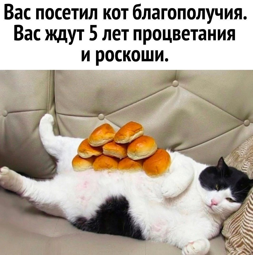 Вас посетил кот благополучия Вас ждут 5 лет процветания и роскоши