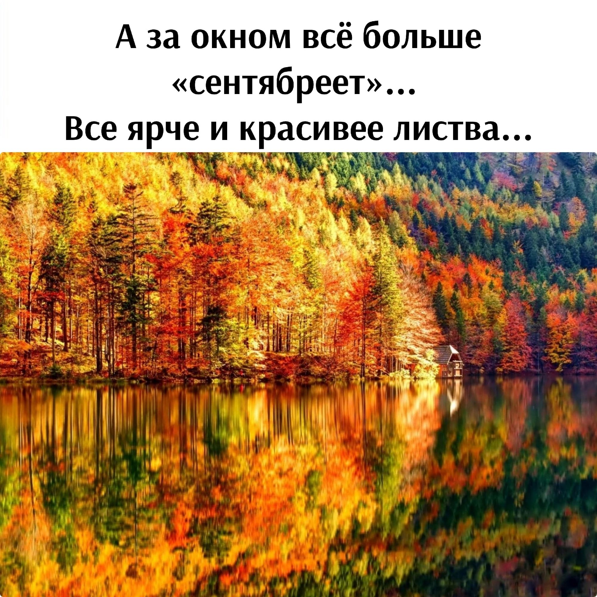 А за окном всё больше сентябреет Все ярче и красивее листва