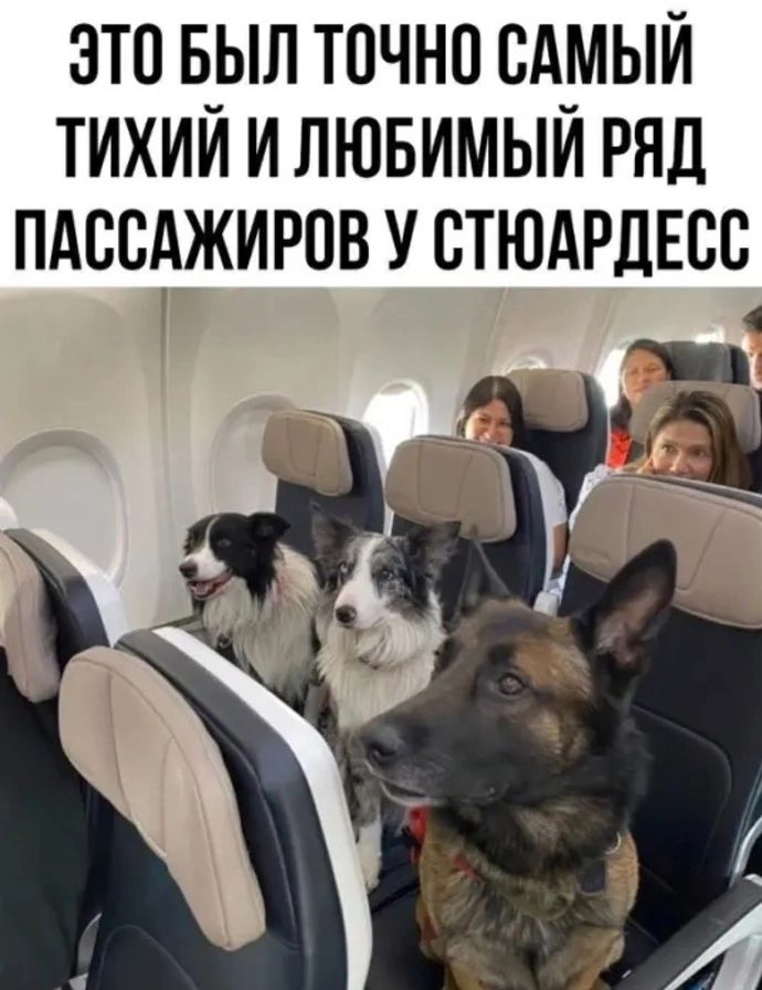 ЭТО Б_ЫЛ ТСЧНО САМЫЙ ТИХИИ И ЛЮБИМЫИ РЯД ПАССАЖИРОВ У СТЮАРДЕСС
