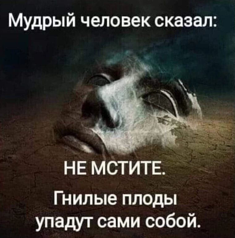 Мудрый человек сказал НЕ МСТИТЕ Гнилые плоды упадут сами собой