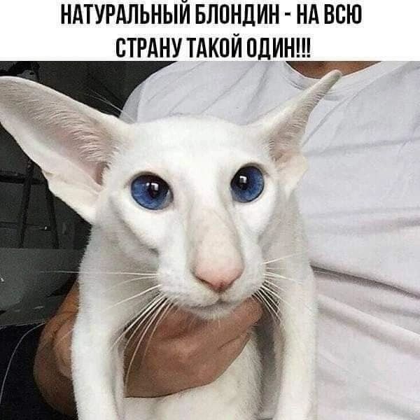 НАТУРАЛЬНЫЙ БППНЛИН НА ВСЮ СТРАНУ ТАКПЙ ОДИН у