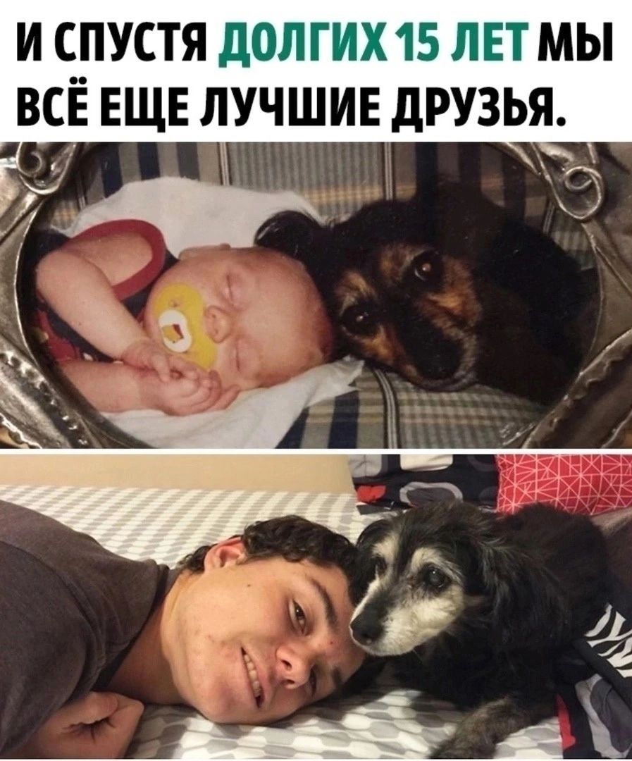 И СПУСТЯ д0ЛГИХ 15 ЛЕТ МЫ ВСЕ ЕЩЕ ЛУЧШИЕ дРУЗЬЯ