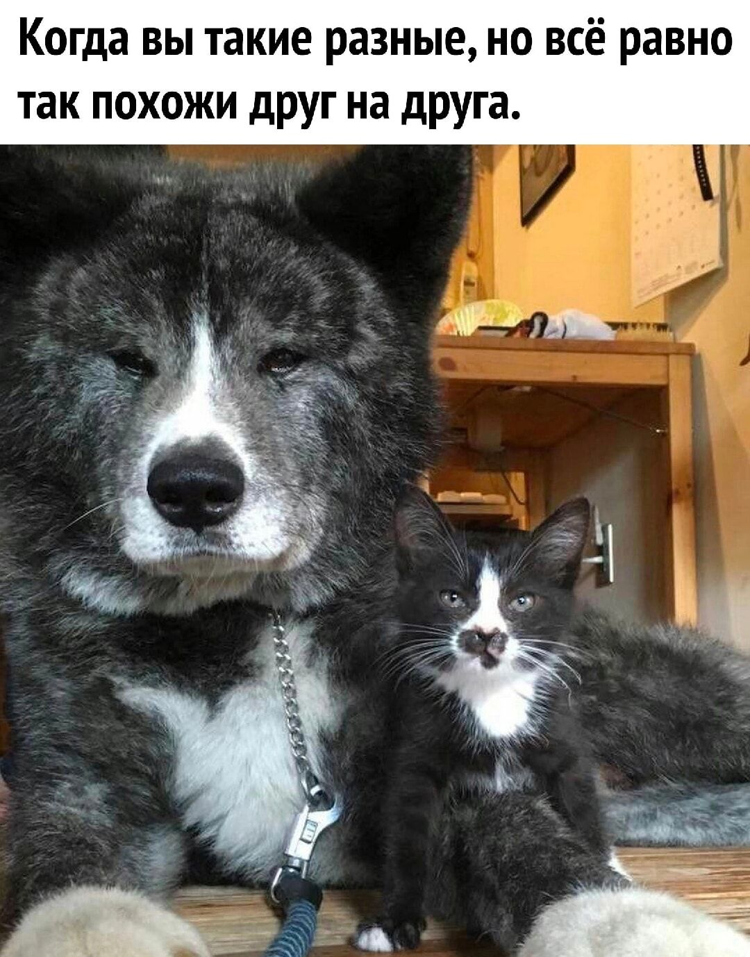 Когда вы такие разные но всё равно так похожи друг на друга
