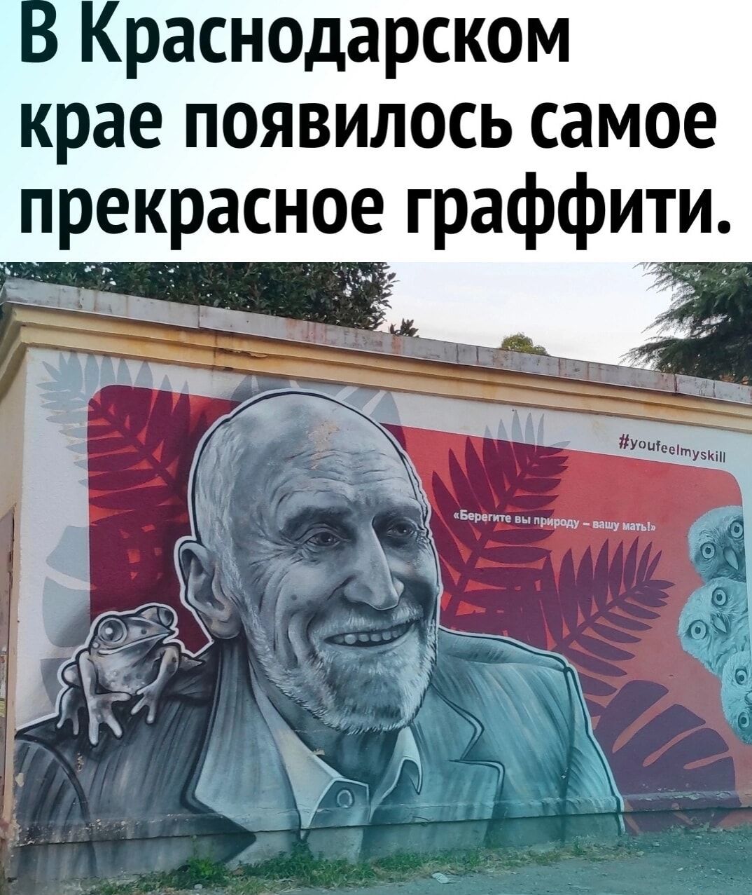 раснодарском крае появилось самое прекрасное граффити
