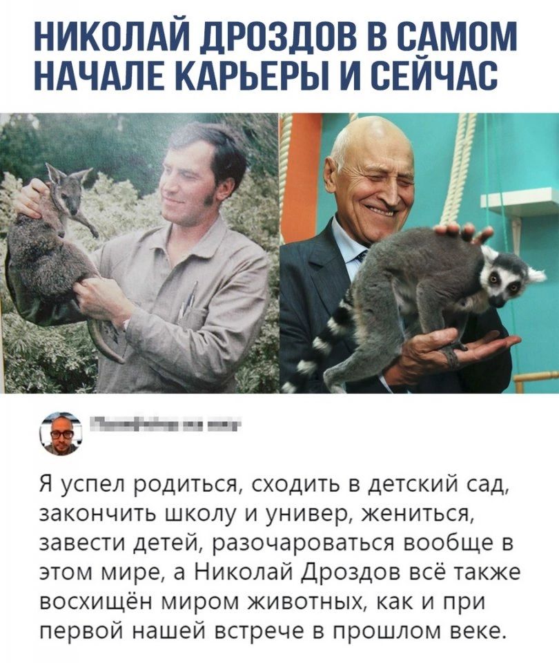 НИКОЛАЙ дРОЗдПВ В САМПМ НАЧАЛЕ КАРЬЕРЫ И СЕИЧАС Я успел родиться сходить в детский сад закончить школу и универ жениться завести детей разочароваться вообще в этом мире а Николай Дроздов всё также восхищён миром животных как и при первой нашей встрече в прошлом веке