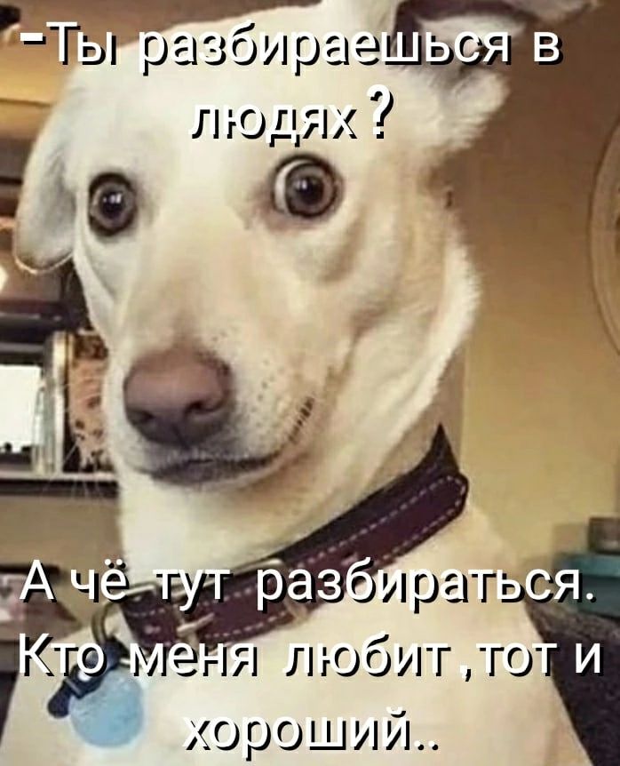 ра оирае людях в любит ш хороший
