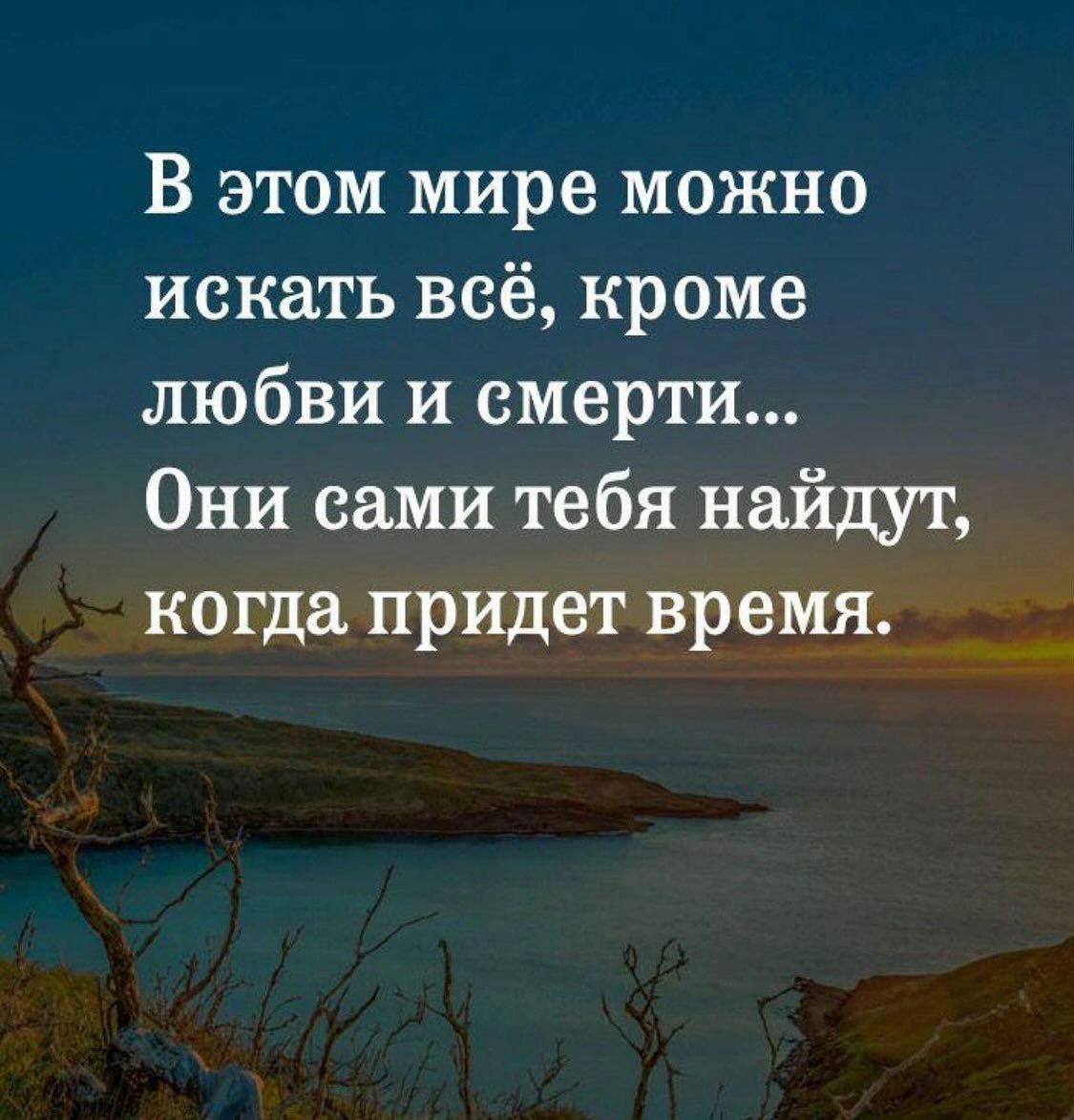 Стоит искать. В этом мире можно искать всё кроме любви. Любовь и смерть найдут тебя сами. Любовь и смерть они сами тебя найдут когда придет время. В этом мире можно искать всё кроме любви и смерти.