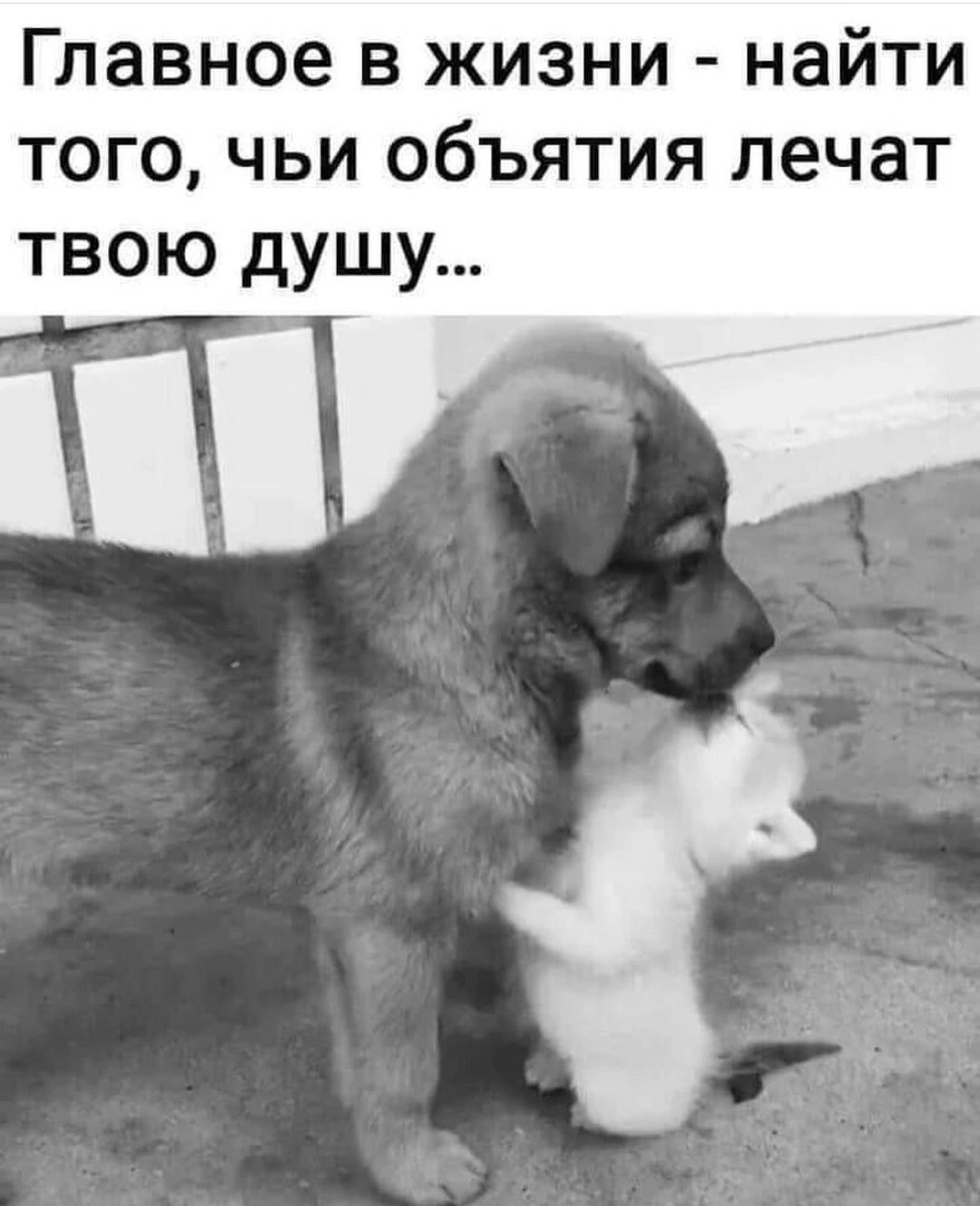 Главное в жизни найти того чьи объятия лечат твою душу