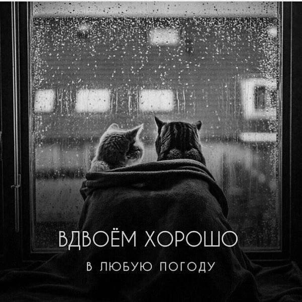 БДБОЁМ ХОРОШО В ЛЮБУЮ ПОГОДУ