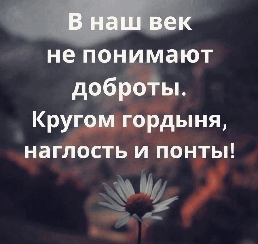 Чтобы понять доброту