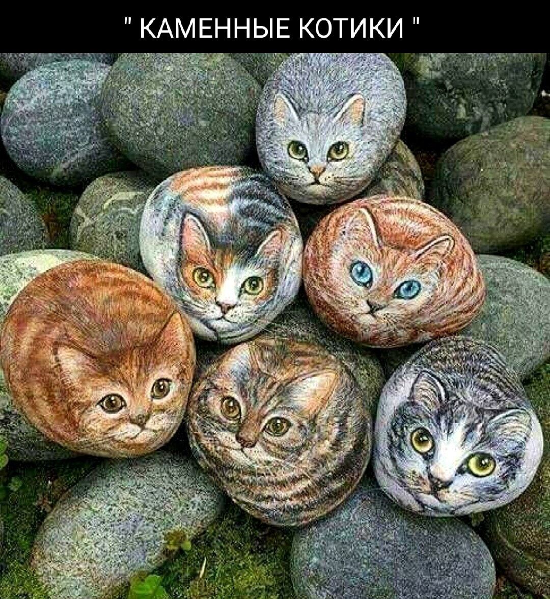 КАМЕННЫЕ КОТИКИ а Ё