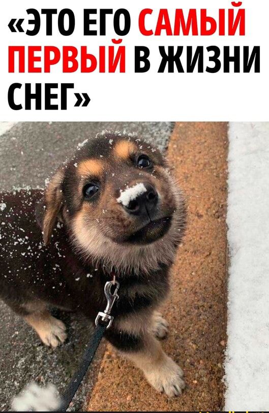 это ЕГ9 САМЫЙ пиши в жизни