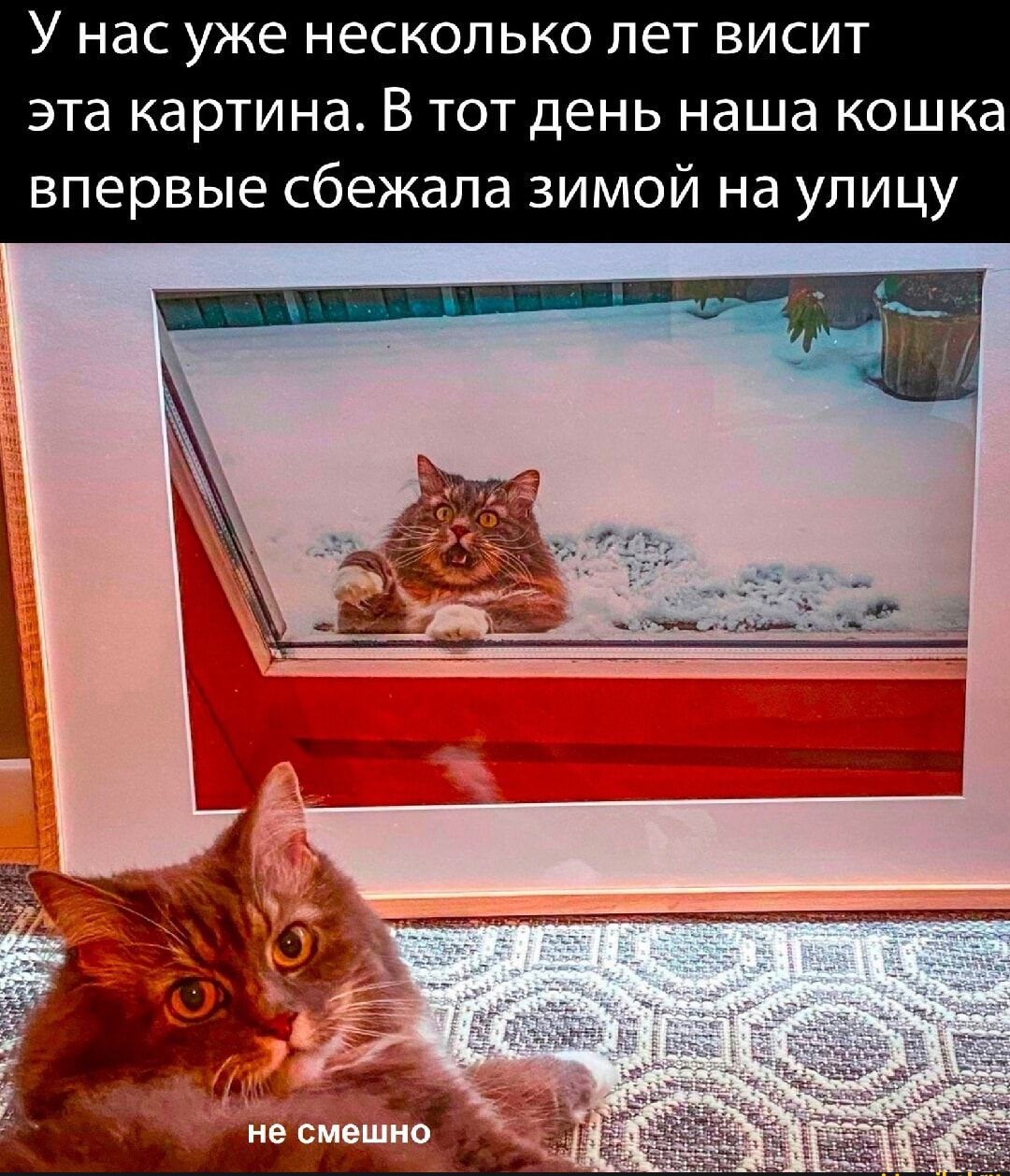У нас уже несколько лет висит эта картина В тот день наша кошка впервые сбежала зимой на улицу