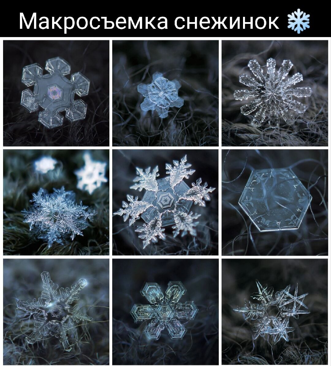 Макросъемка снежинок