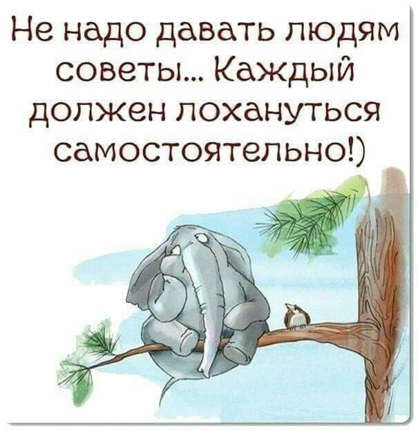 Не надо давать ЛЮДЯМ советы Каждый должен похануться самостоятельно