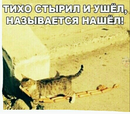 МШ
